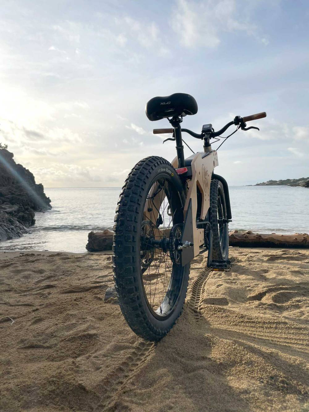Vélo 100% français à Ambilly