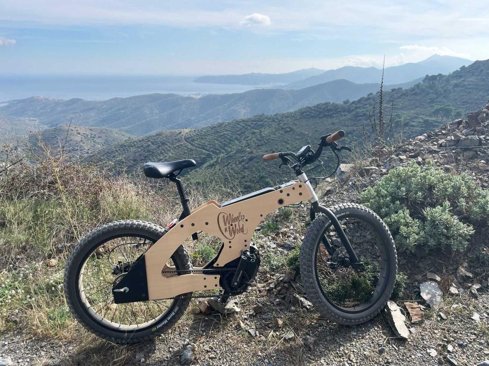 vélo bois