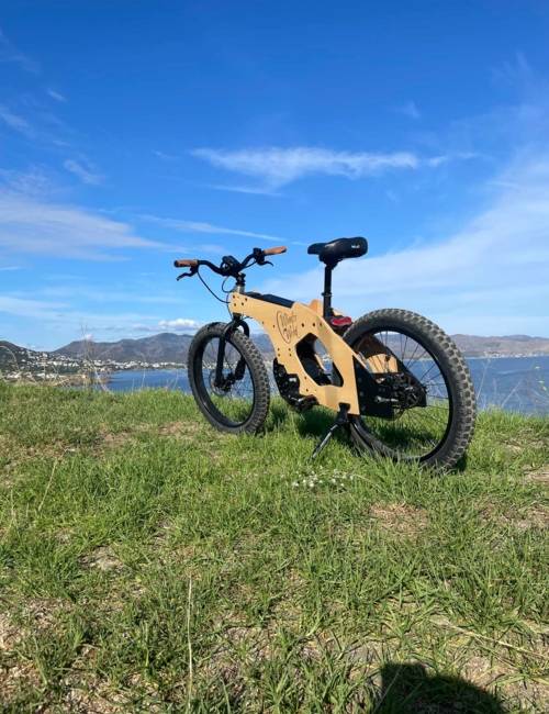 Fabricant de vélo électrique en bois à Ambilly