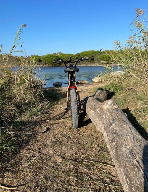 Vélo électrique à Ambilly